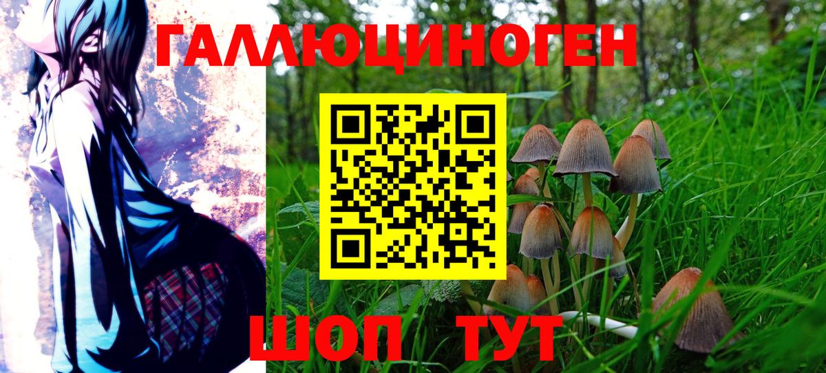 Псилоцибиновые грибы MAGIC MUSHROOMS  Вход с VPN  Сызрань 