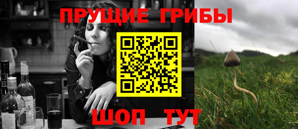 Галлюциногенные грибы GOLDEN TEACHER Сызрань